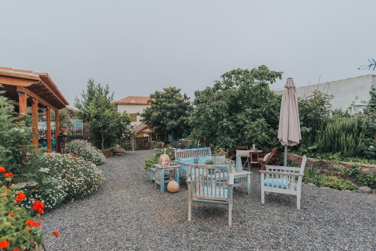 Casa Jacinta Con Jacuzzi Guest House Costa Adeje  Ngoại thất bức ảnh